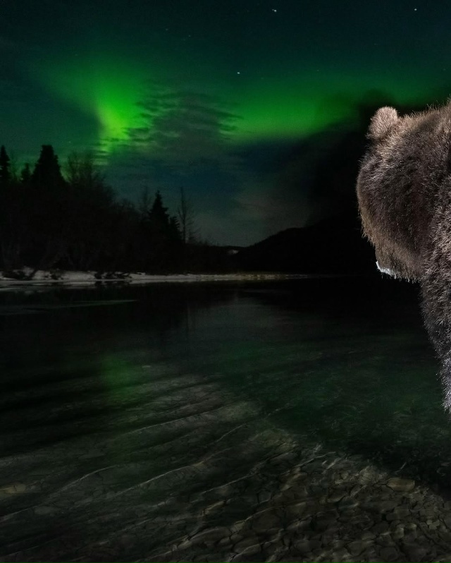 После долгих лет поисков и ожидания фотограф Питер Мэз...