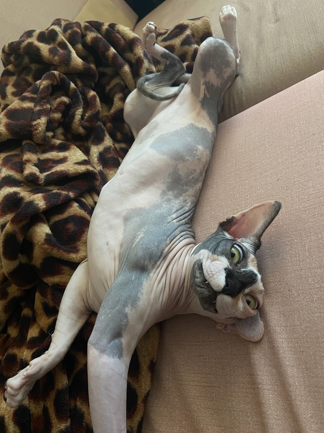 Мои всратые девочки❤️