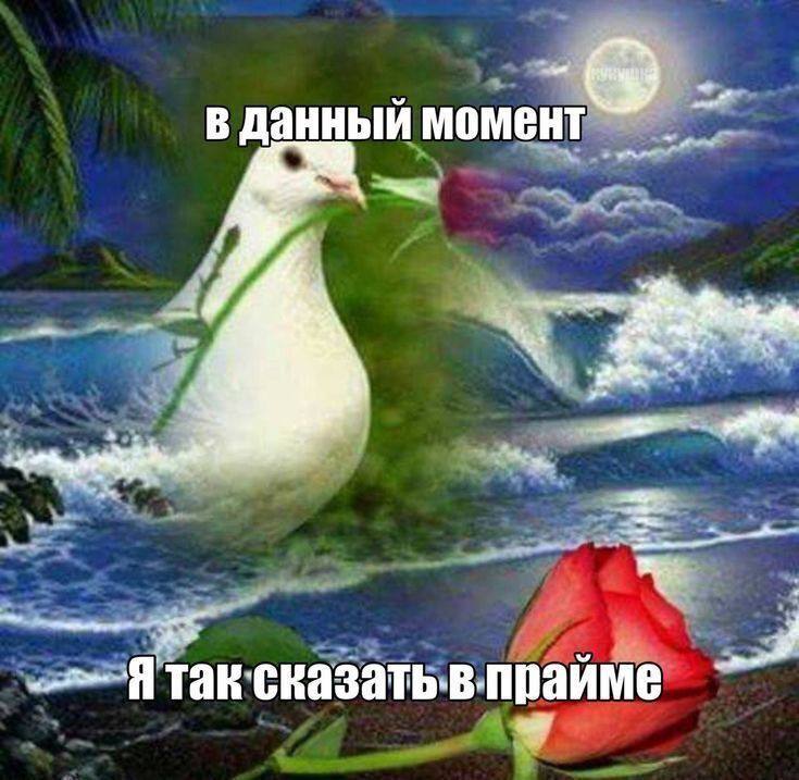 Когда в один вечер устроила себе спа-день, побрила ноги и поменяла постельное