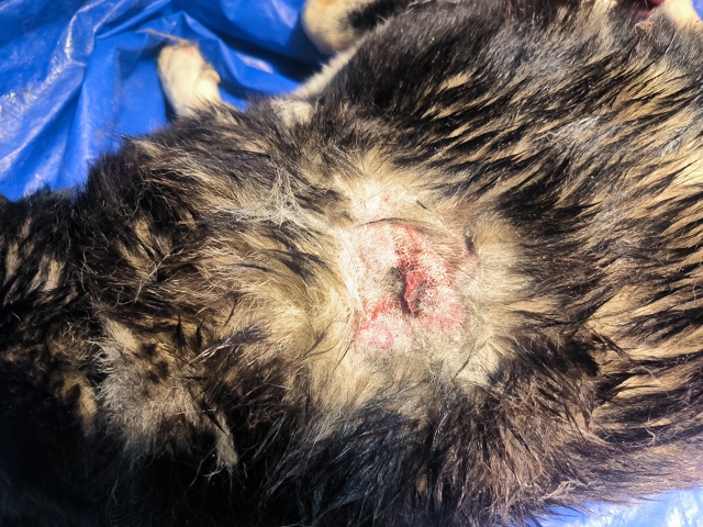 Друзья, нужна помощь! 😪
Сегодня звонит папа 