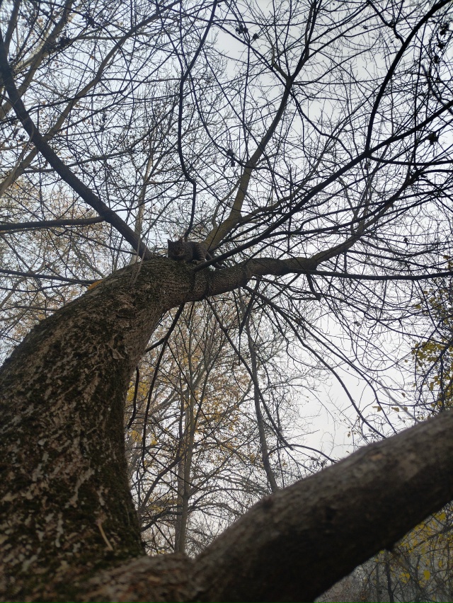 Мурмелад решил оторваться от суеты и насладиться прир?...