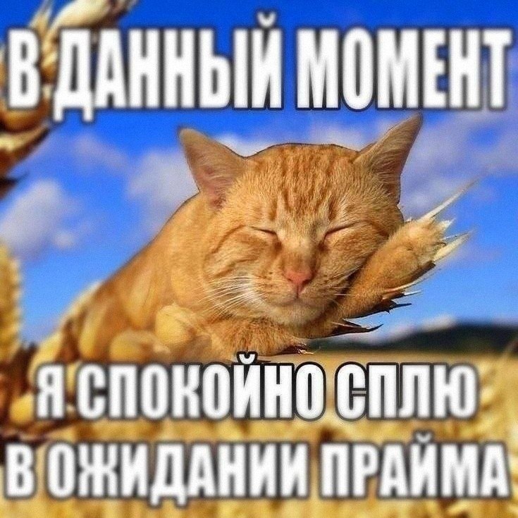 Утренняя подборочка