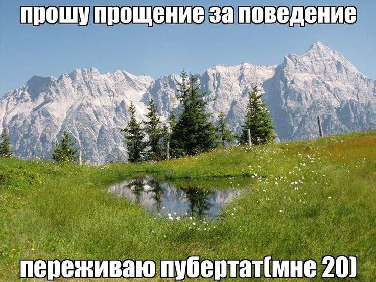 Утренняя подборочка