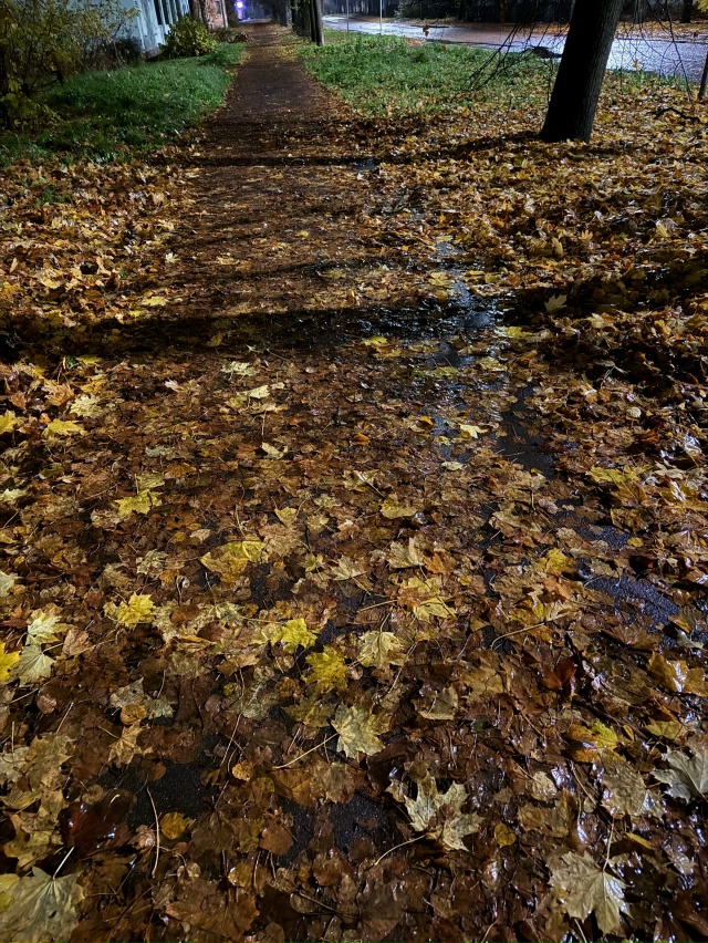 У нас что опять нет техники , чтобы почистить пешеходны...