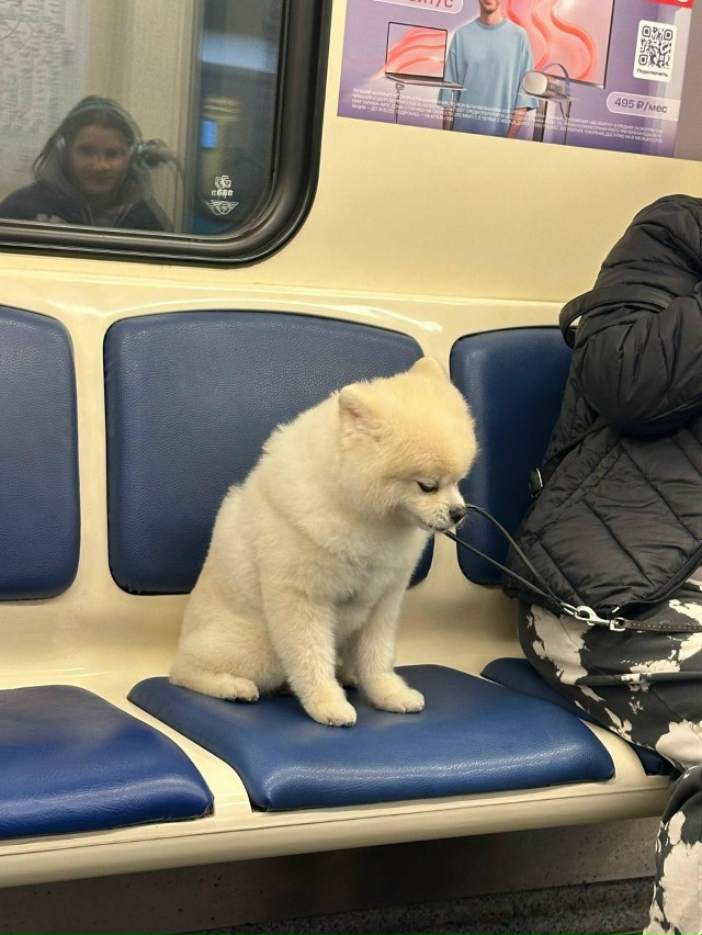 - Подскажите, любезный, сегодня ведь пятница?
- Вторник.....