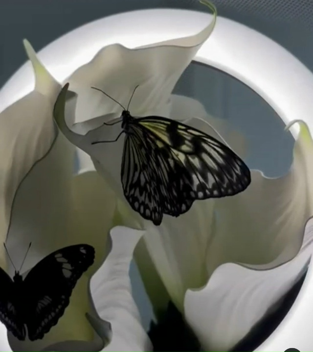 УВАЖАЕМЫЕ ЖИТЕЛИ ГОРОДА КОВРОВ !!!!!
У нас идёт финальна?...