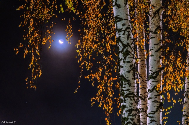 Туманная ночь в нашем прекрасном городе.
Пока все спят...