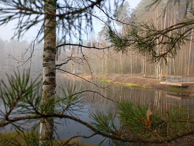 Новый строящийся парк 