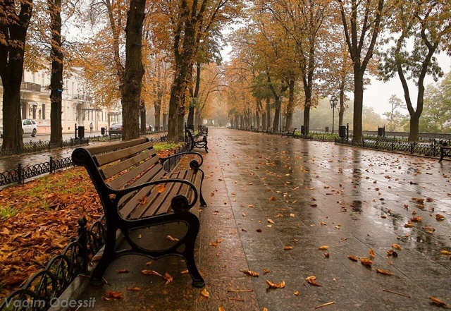 Дорогие мои читатели и друзья!
Ноябрьский день коротк?...