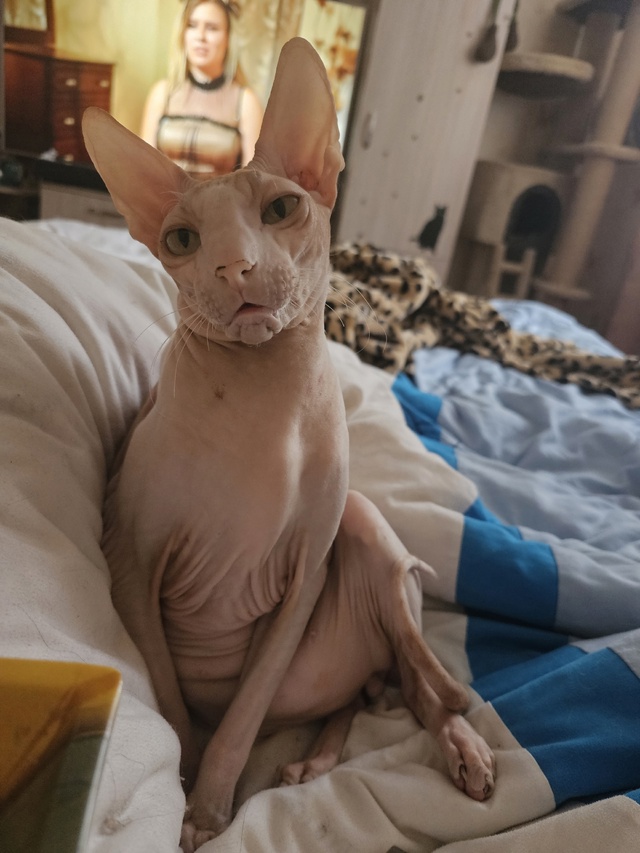 Всем привет! Мы тут новенькие, хотя и давно следим )
Зна?...