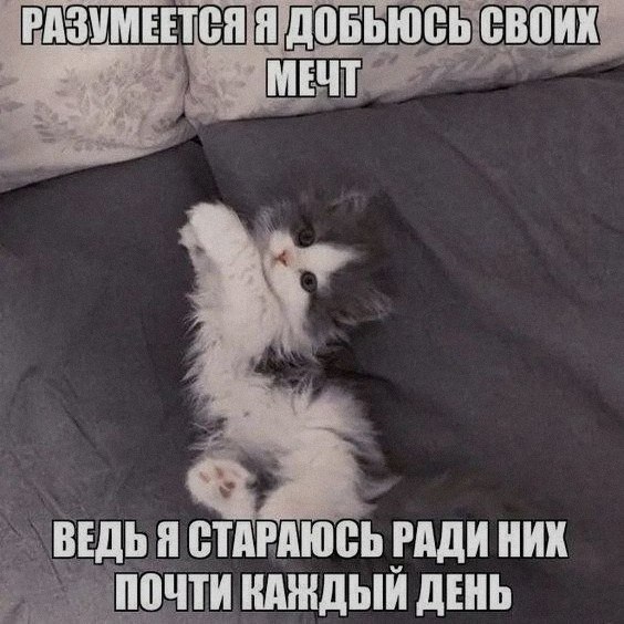 Ночная подборочка
Спать, режим