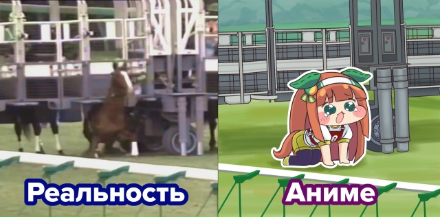 #мемы@anime