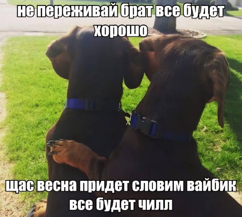 Утренняя подборочка