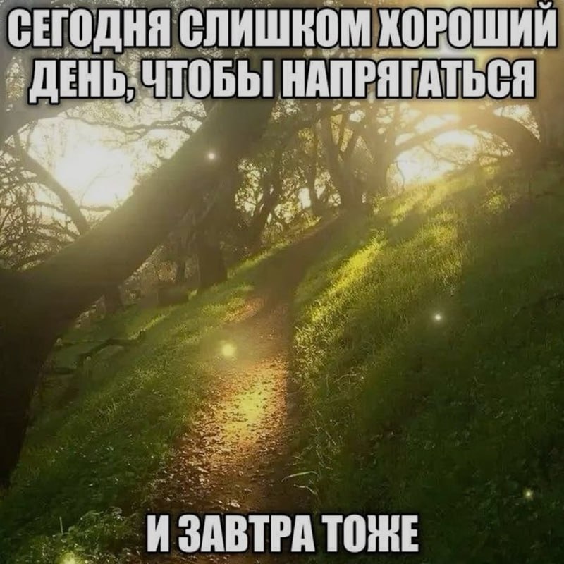 Ночная подборочка
Выходные, не спим