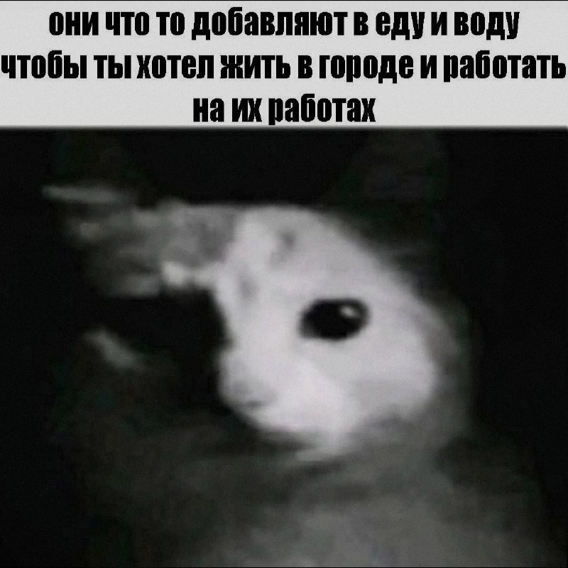Ночная подборочка
Спать, режим