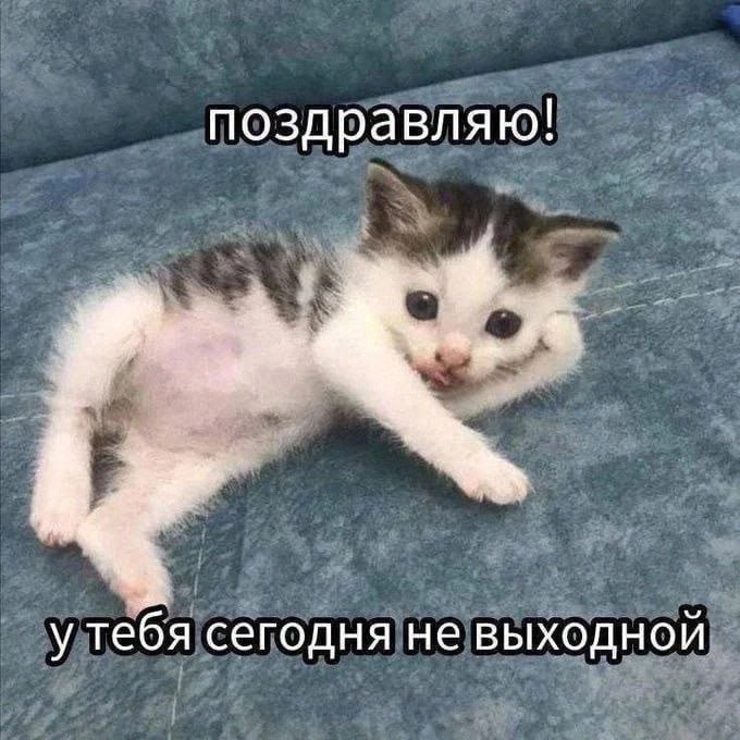 Утренняя подборочка