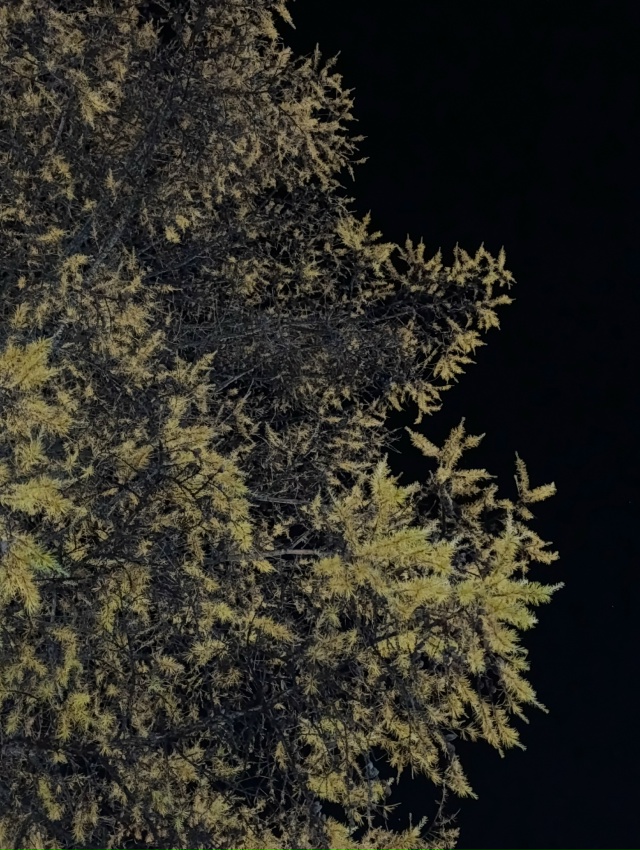 Пустеют улицы и начинается сказка.
Какая ваша любимая...