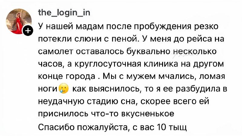 Заорал, обосрался и пустил слюни
Кожаные рассказали о самых бесполезных визитах к ветеринару. Кажда