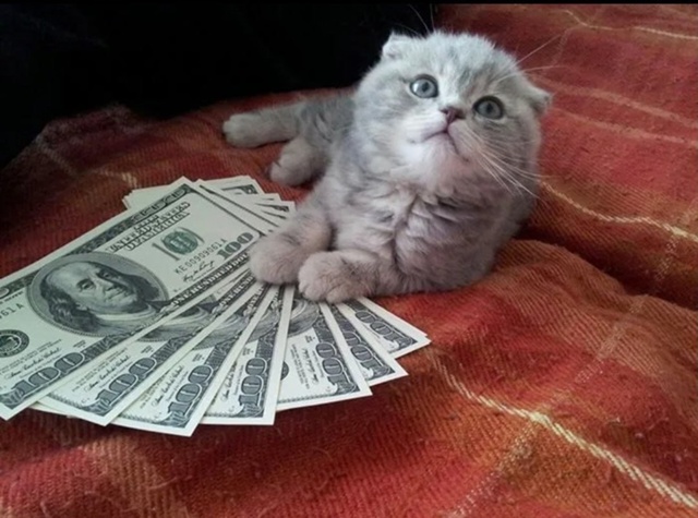 ? День «Пepeвeдитe дeньги дoчepи» отмечается сегодня
Вы ...