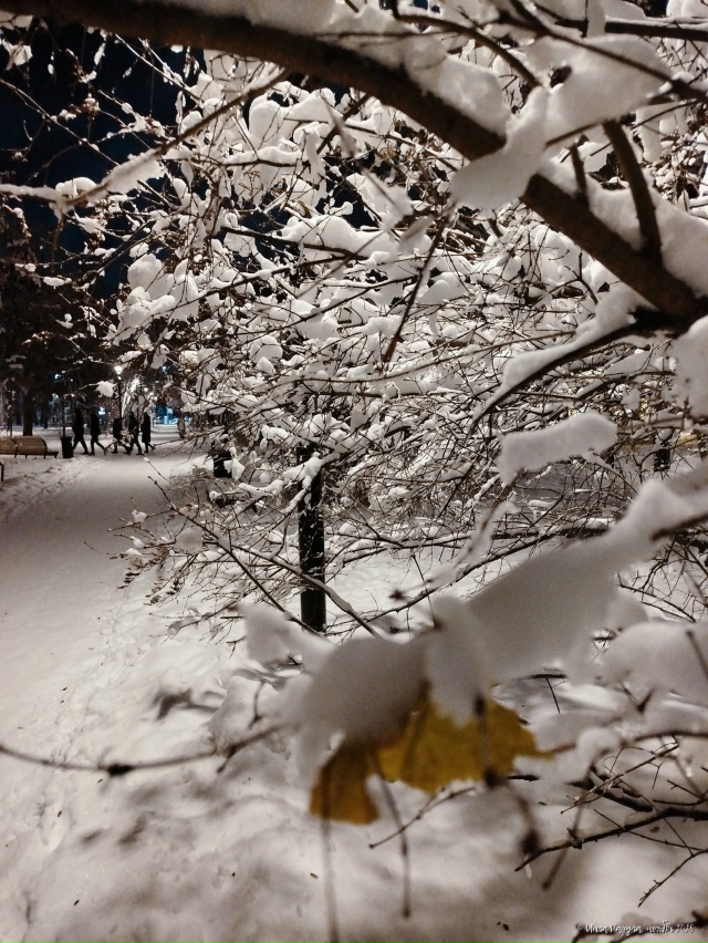 ✨ Зacнeжeнный нoябpьcкий вeчep в Πepвoмaйcкoм cквepe
Φoтo: Ингa Рa...