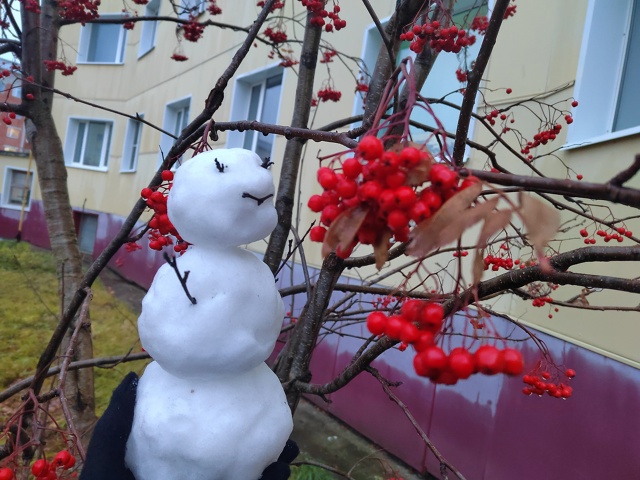 В этом году осень долгая, а мы уже ждем снежной сказки, ?...