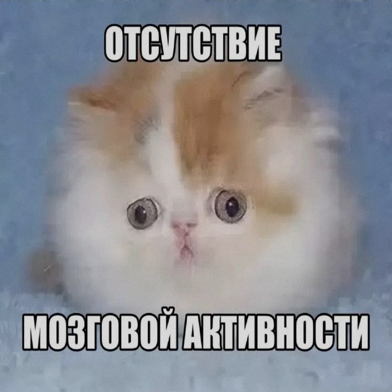 Ночная подборочка
Выходные, не спим