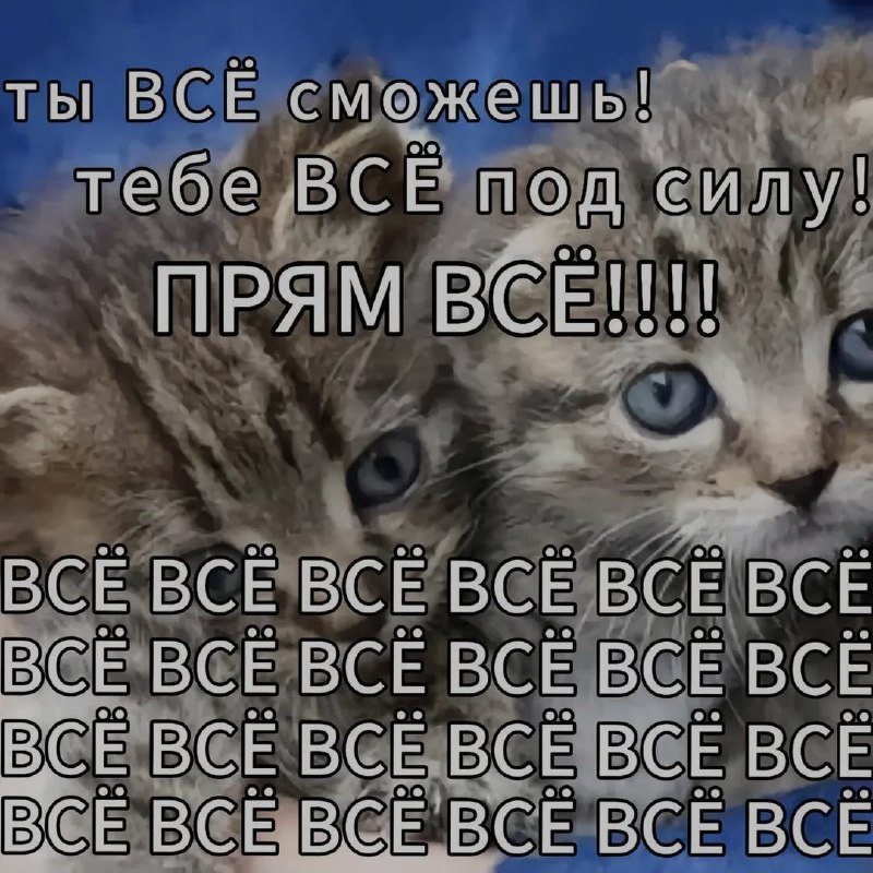 Ночная подборочка
Выходные, не спим