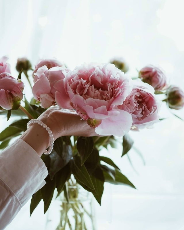 человеку необходимо всеми силами двигаться по направл...