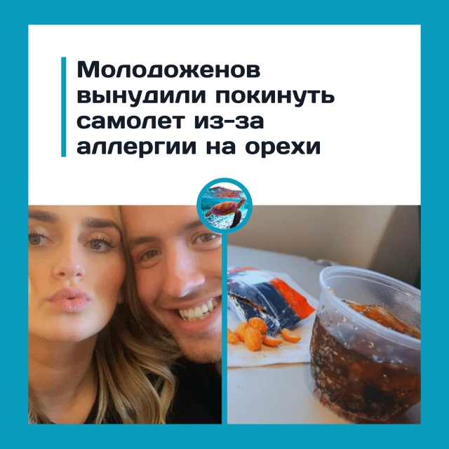 Авиакомпания оставила молодую пару на земле из-за орех...