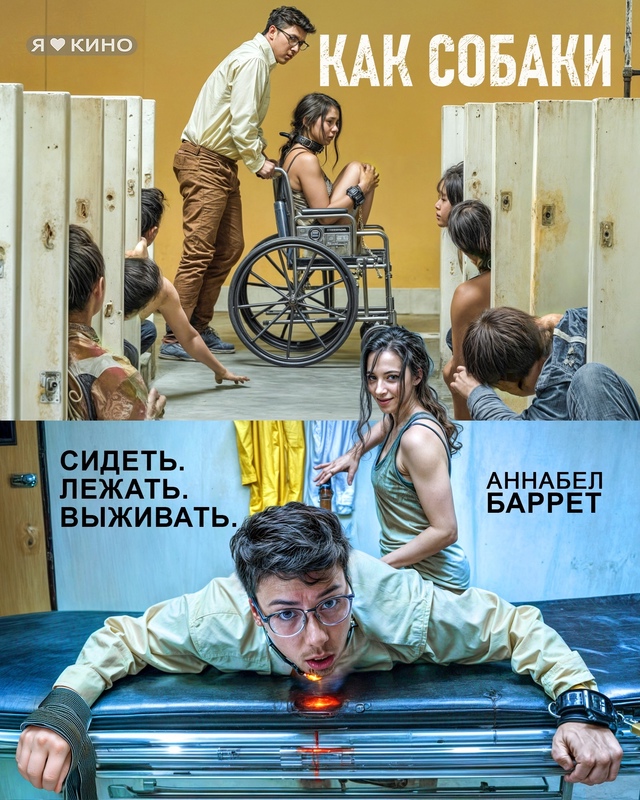 😱 В этoм учpеждeнии людeй ПPИKОBЫBАЮT ЦEПЯMИ и обрaщaются с ?...