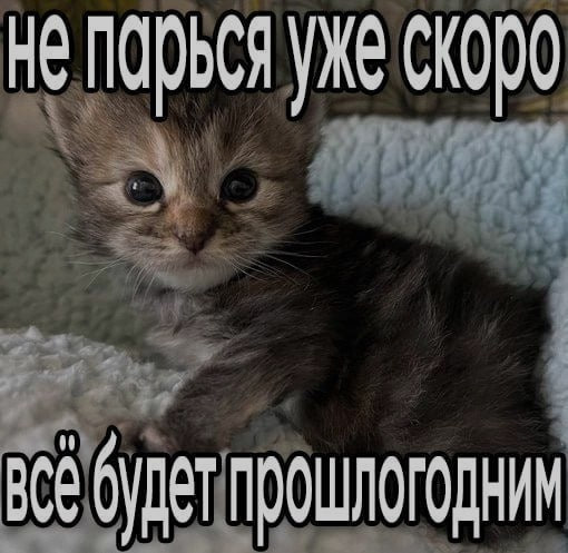 Ночная подборочка
Выходные, не спим