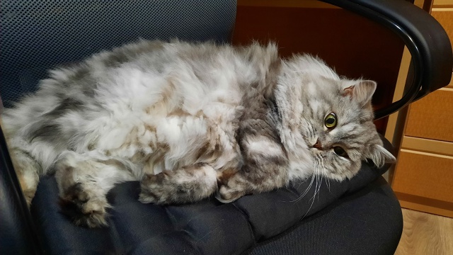 Булка растеклась