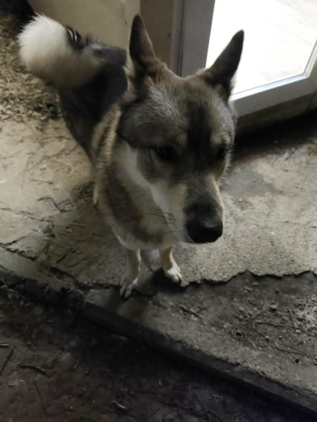 Всем добрый вечер! Этот мохнатый товарищ второй день ж?...