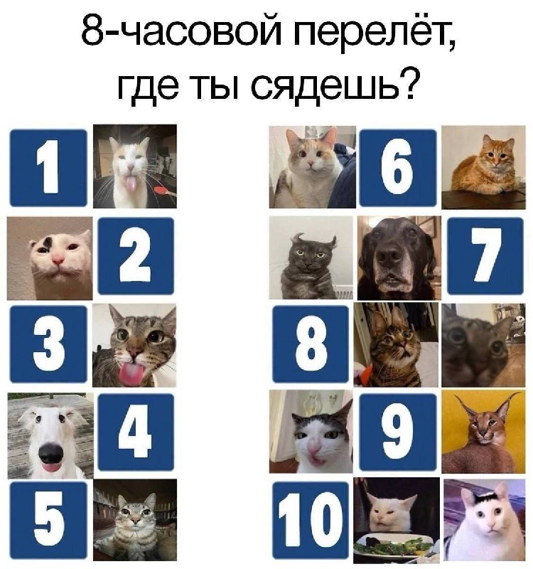 Утренняя подборочка