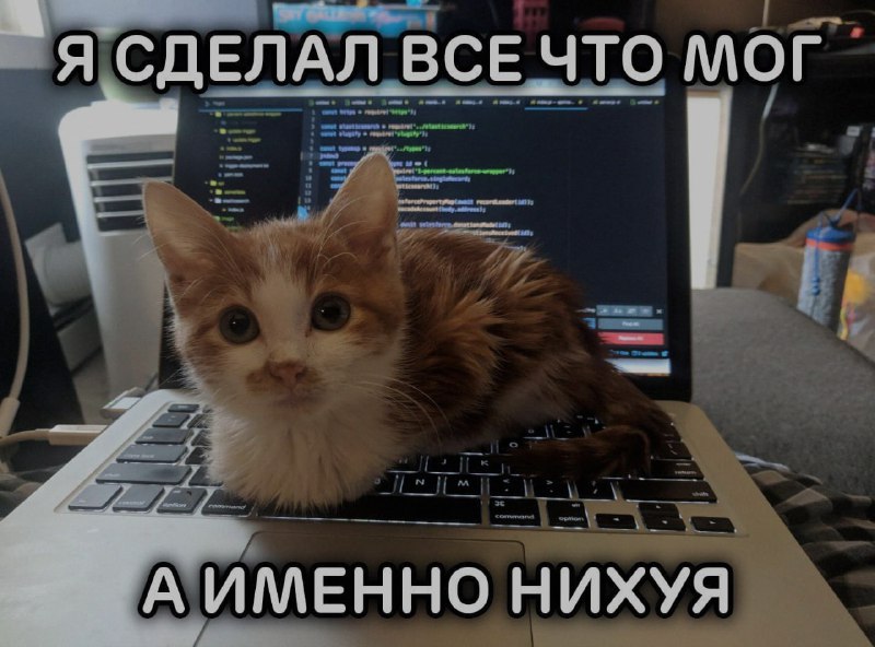 Ночная подборочка
Спать, режим