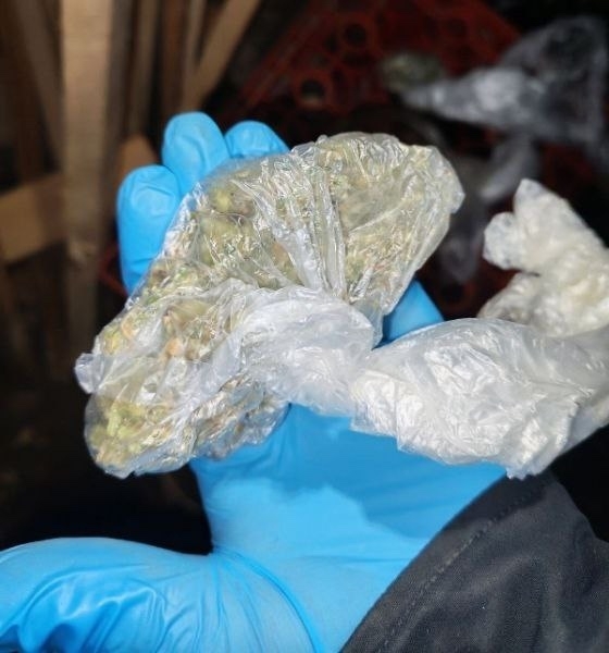 Двух пермяков задержали по подозрению в сбыте крупных ...