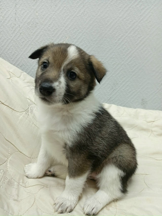 Приветствуем всех ещё раз!
Месяц назад мы нашли броше?...