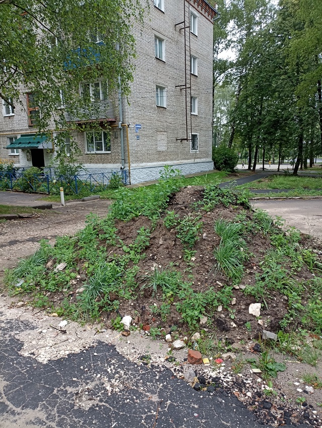 Благоустройство по-ковровски
Куча лежит с начала рабо...
