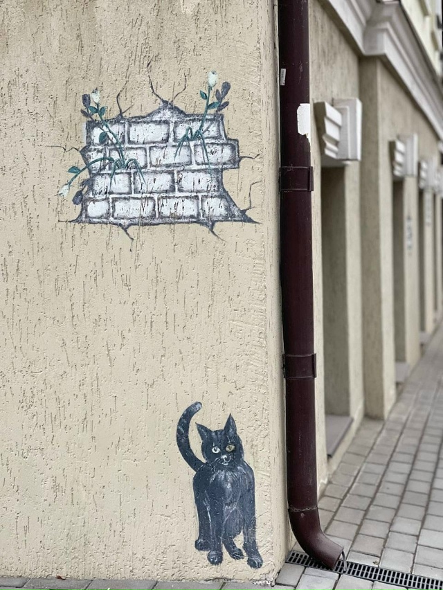 😻В центре города, на Чернышевского, 12, появились два м?...