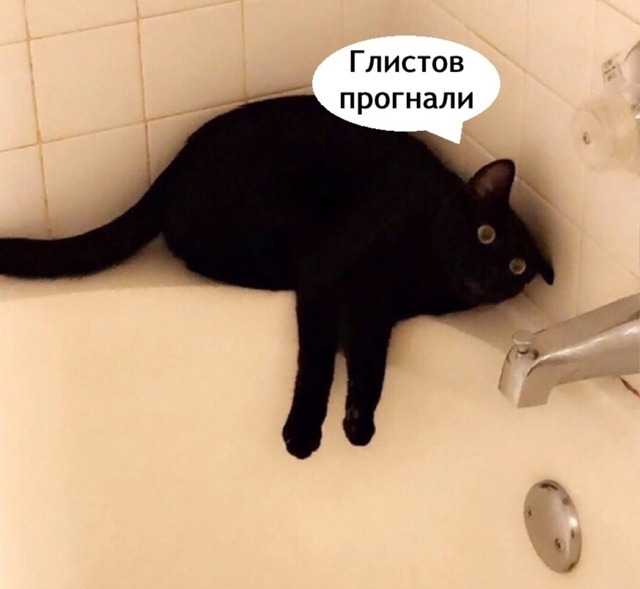 Жаль этого добряка конечно