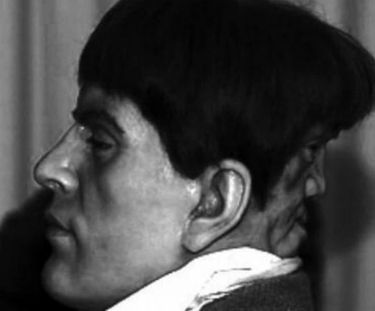 История Эдварда Мордрейка, появившегося на свет в поза...