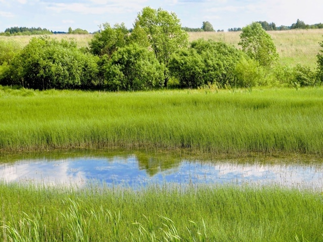 Деревня Комары 🌿