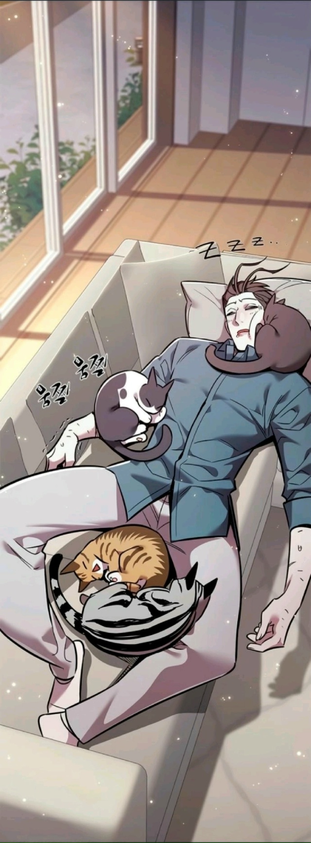 Погиб в жестокой схватке с котами. Замурчали до смерти