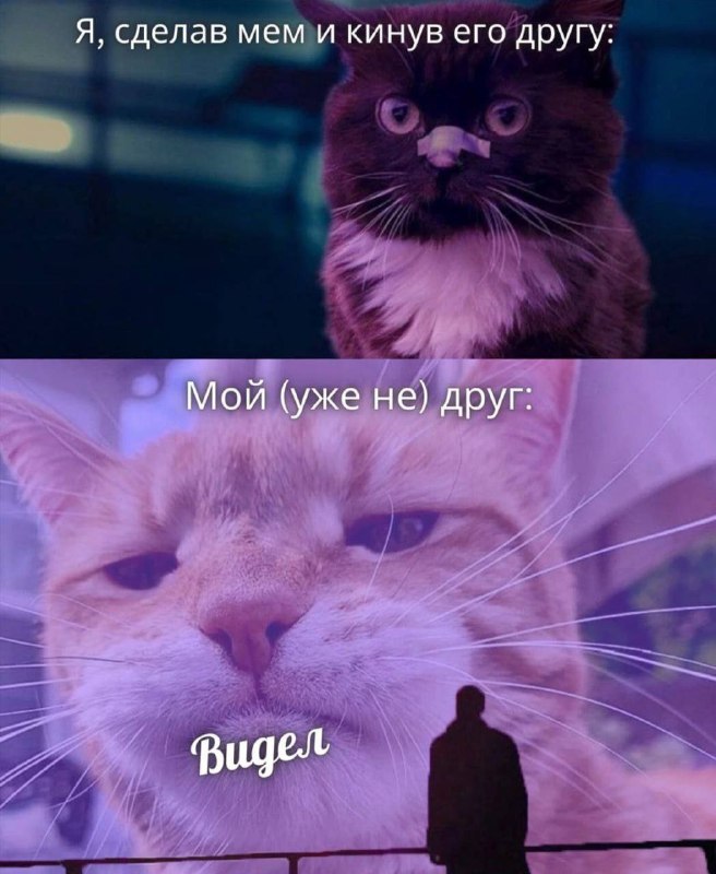 Утренняя подборочка