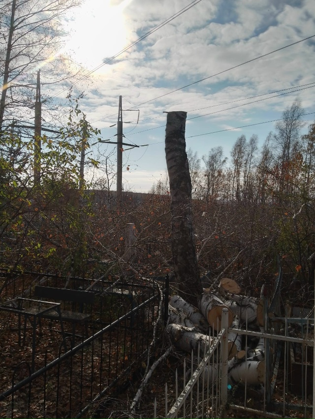 Что происходит на старом кладбище! Кто это будет убира?...