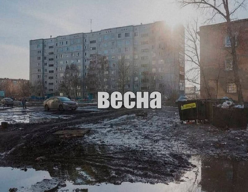 Ночная подборочка
Выходные, не спим