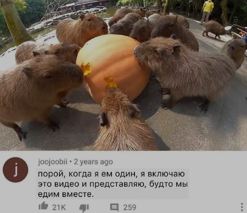 Ночная подборочка
Выходные, не спим