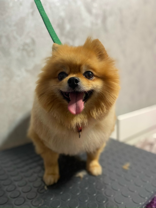 Доброго времени суток!✨
Меня зовут Вероника.
Я дипло?...