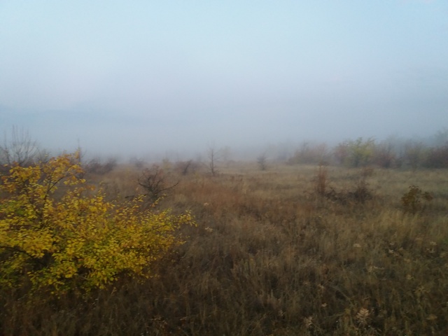 Лежу и плачу. Собрался с утречка съездить за грибами. В?...