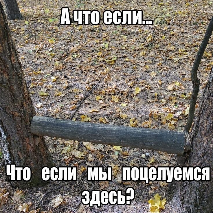 Утренняя подборочка